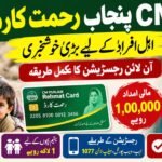 CM Punjab Rehmat Card 2026
