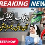 Punjab Electric Bike