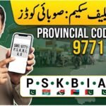 Provincial Codes for Petrol Relief Scheme