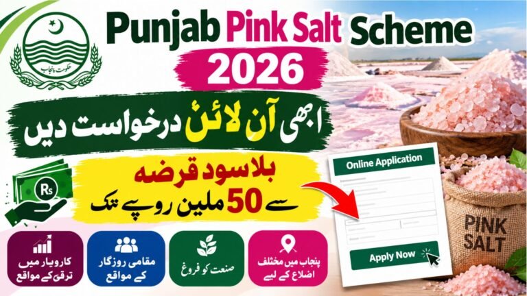 Punjab Pink Salt Scheme 2026