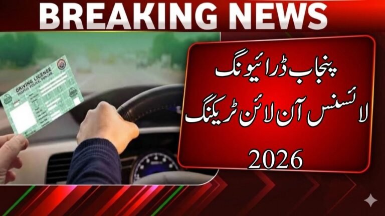Track Your Driving License Online in Punjab