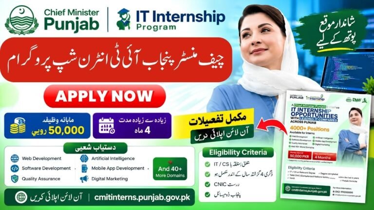 Chief Minister Punjab IT Internship